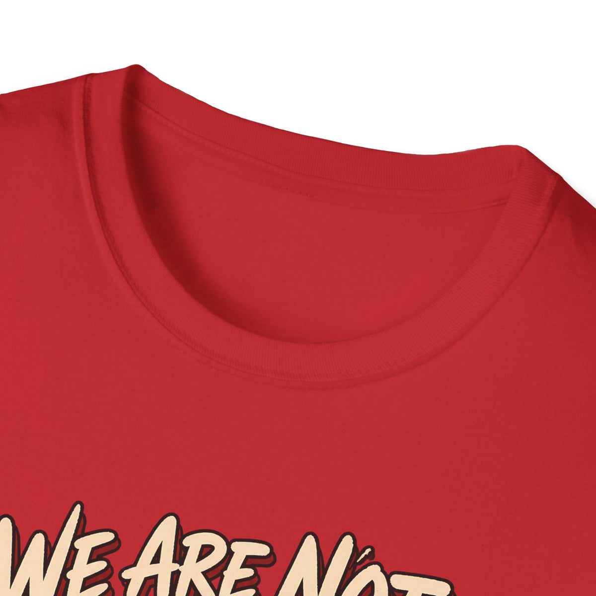 We Are Not Skipping Mariah | Mariah Carey Cat Fan Christmas Holiday Tee