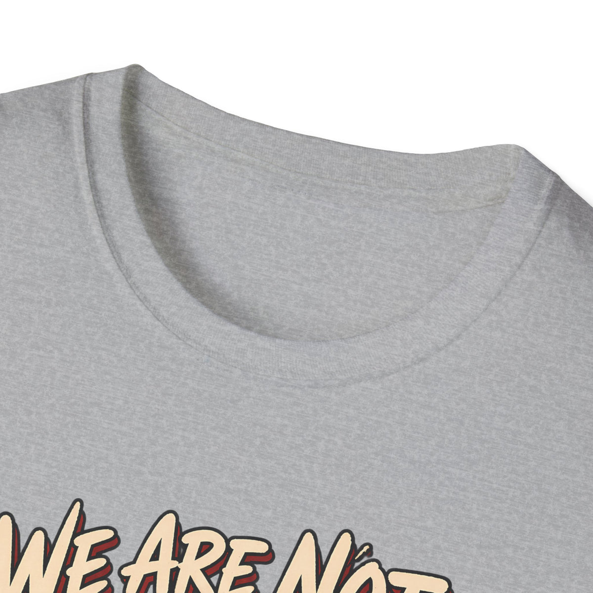 We Are Not Skipping Mariah | Mariah Carey Cat Fan Christmas Holiday Tee