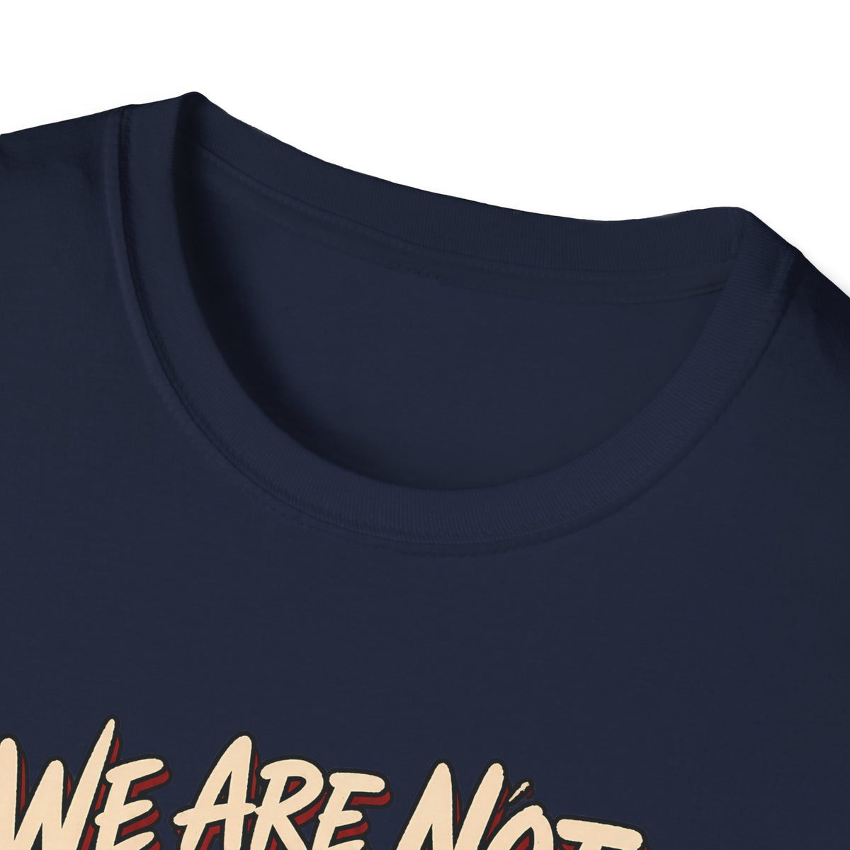 We Are Not Skipping Mariah | Mariah Carey Cat Fan Christmas Holiday Tee