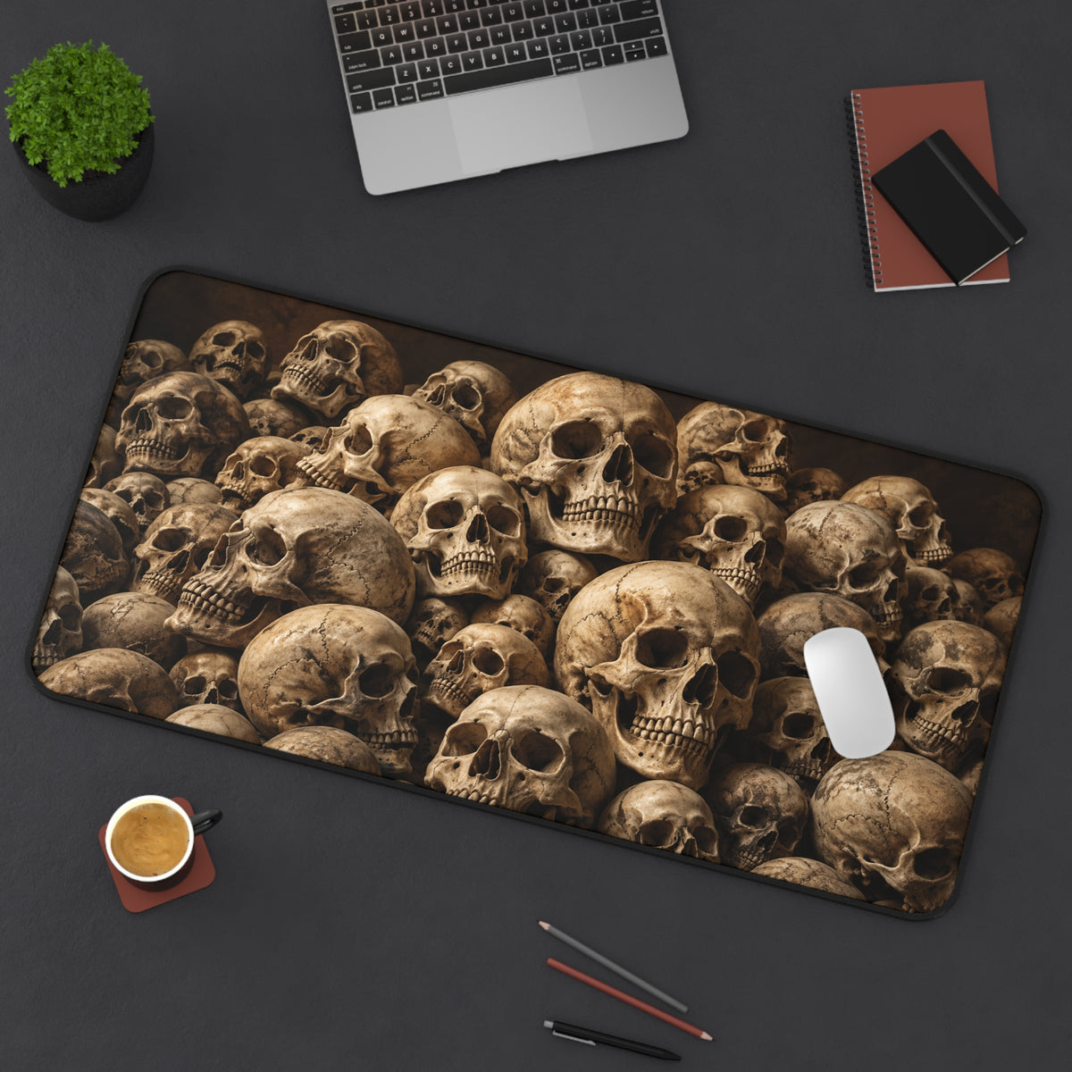 Realistic Bone Ossuary | Antique Skull Still Life Art
